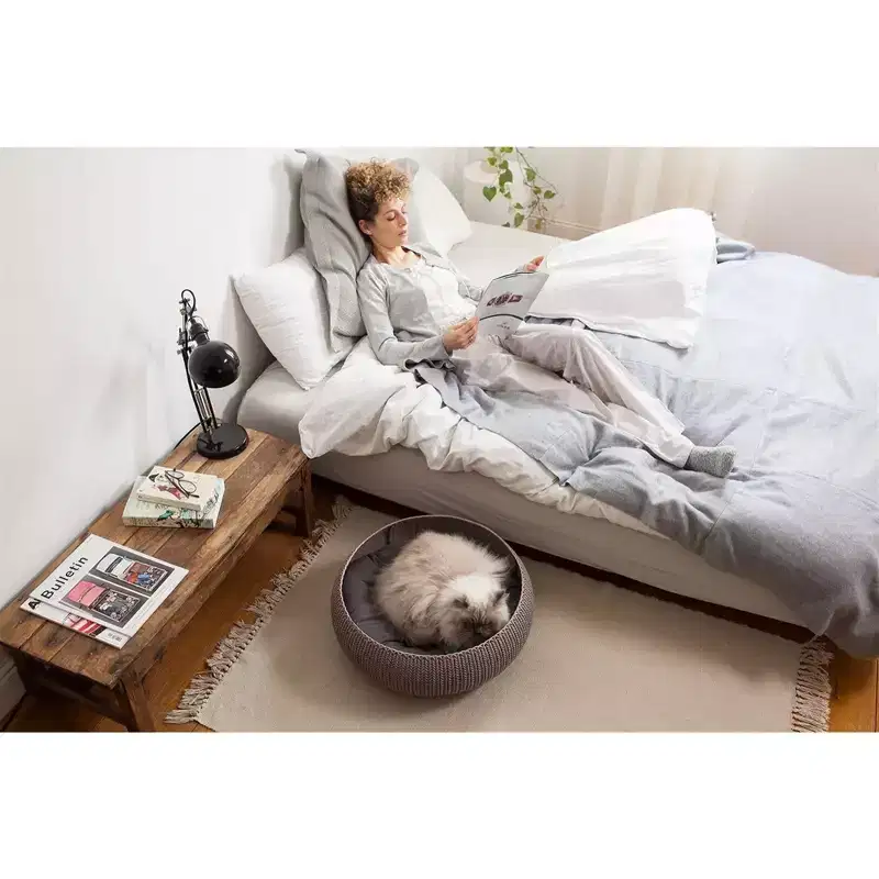 Keter by Curver Knit Cozy Resin Plastic Pet Bed with Cushion, Small Dogs to Medium Cats, Sandy Beige