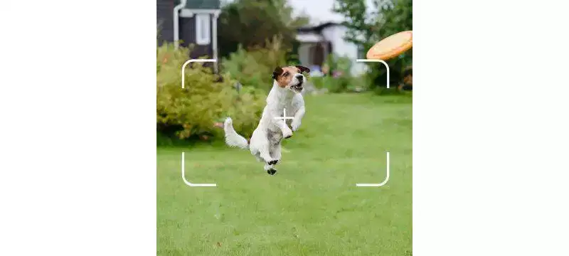 Snaptain E10 Drone: Built-In Camera, Remote Control, 1080p Video, Bluetooth Connectivity, Beginner Skill Level