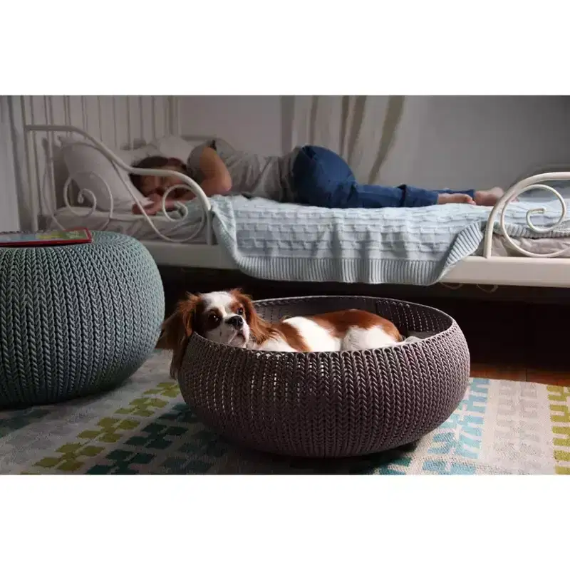 Keter by Curver Knit Cozy Resin Plastic Pet Bed with Cushion, Small Dogs to Medium Cats, Sandy Beige