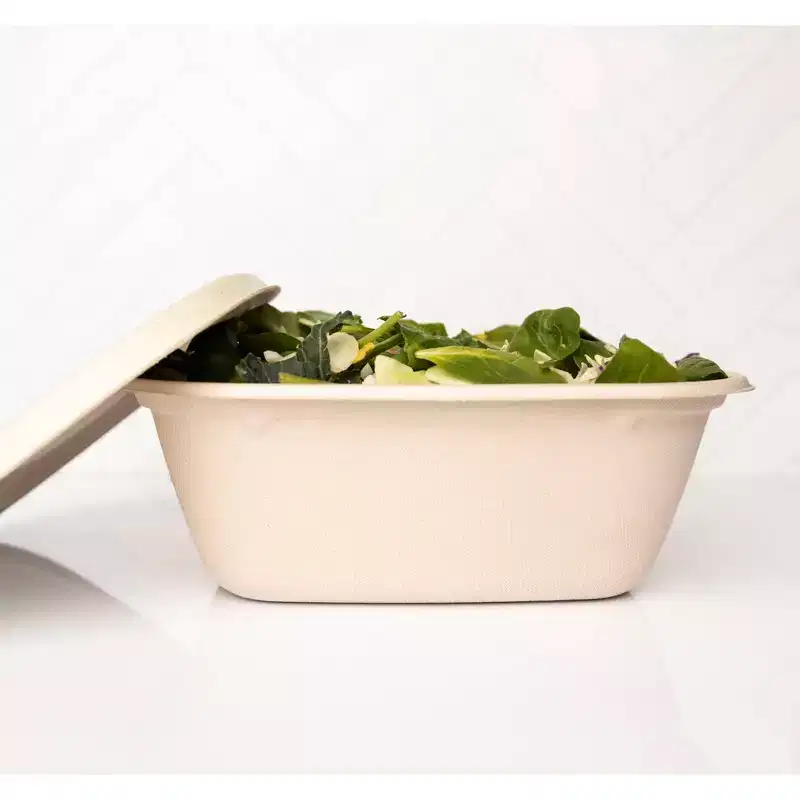 Matter Compostable Food Storage Container - 5ct