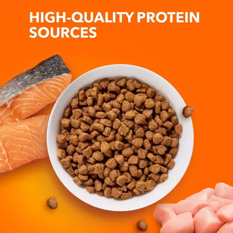 IAMS Proactive Health with Salmon Adult Premium Dry Cat Food