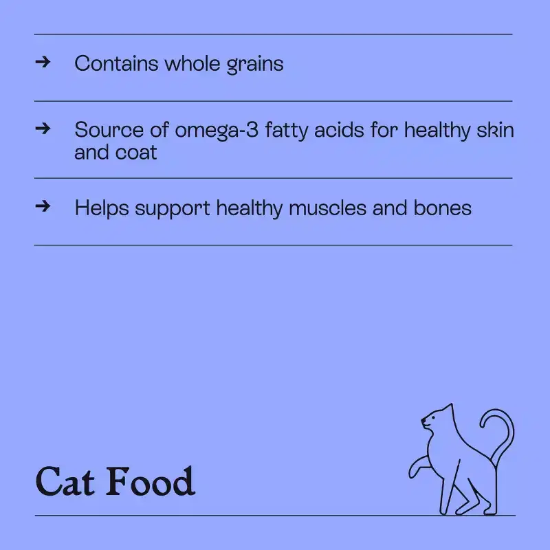 Salmon and Brown Rice Recipe Flavor Dry Cat Food - Kindfull