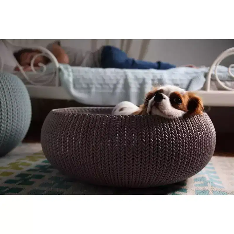 Keter by Curver Knit Cozy Resin Plastic Pet Bed with Cushion, Small Dogs to Medium Cats, Sandy Beige