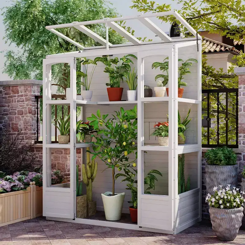 Whisen 78 Greenhouse with 4 Skylights & 2 Folding Shelves