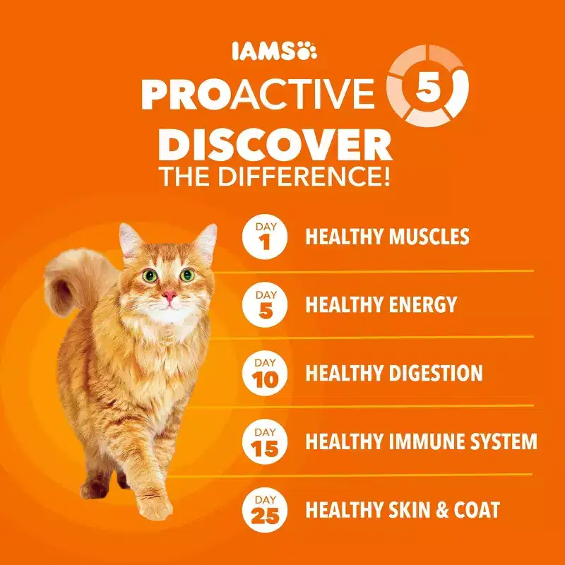 IAMS Proactive Health with Salmon Adult Premium Dry Cat Food