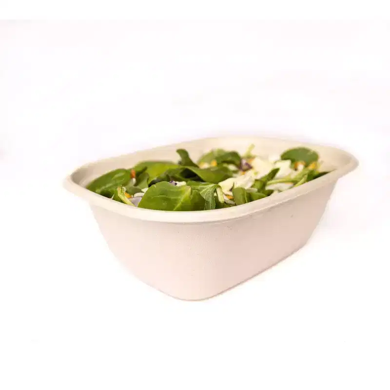 Matter Compostable Food Storage Container - 5ct