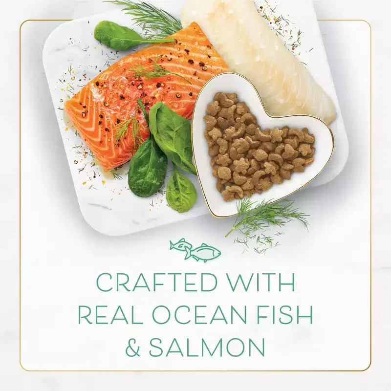 Fancy Feast Gourmet Ocean Fish and Salmon Dry Cat Food - 12lbs
