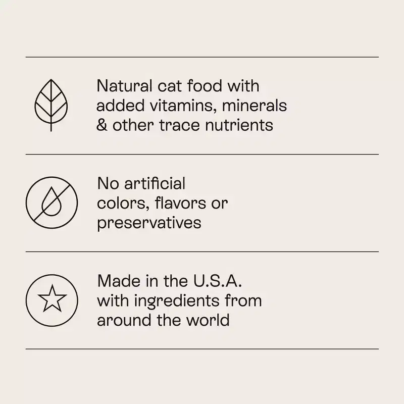 Salmon and Brown Rice Recipe Flavor Dry Cat Food - Kindfull