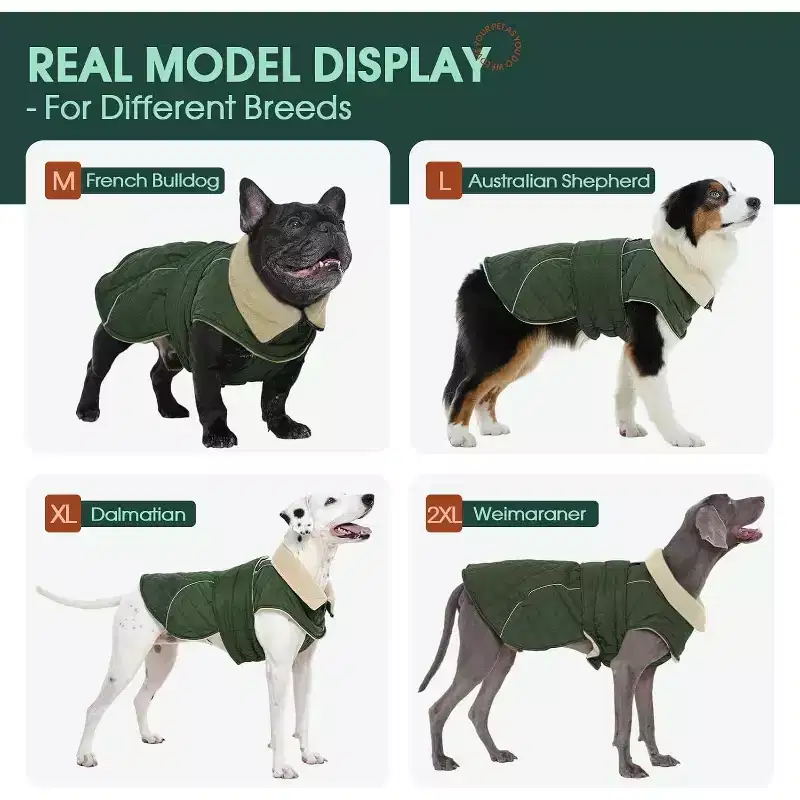 Kuoser Dog Jacket Warm Fleece Lined Dog Coats for Small Dogs, Waterproof Pet Coat Reflective Puppy Snowsuit ,Dogs Winter Vest, Green, S