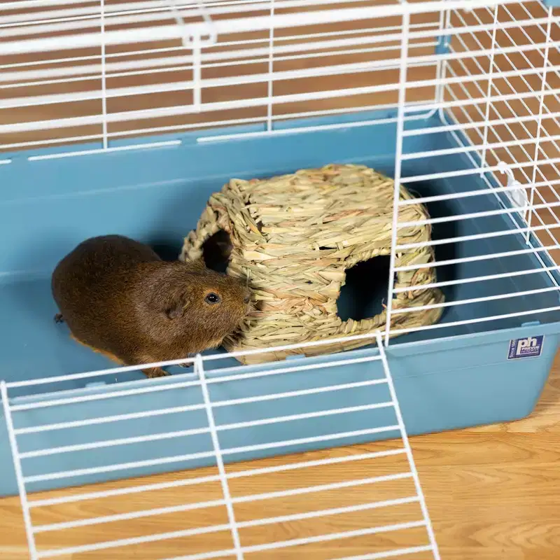 Prevue Pet Products Medium Grass Hut for Small Animals 1097