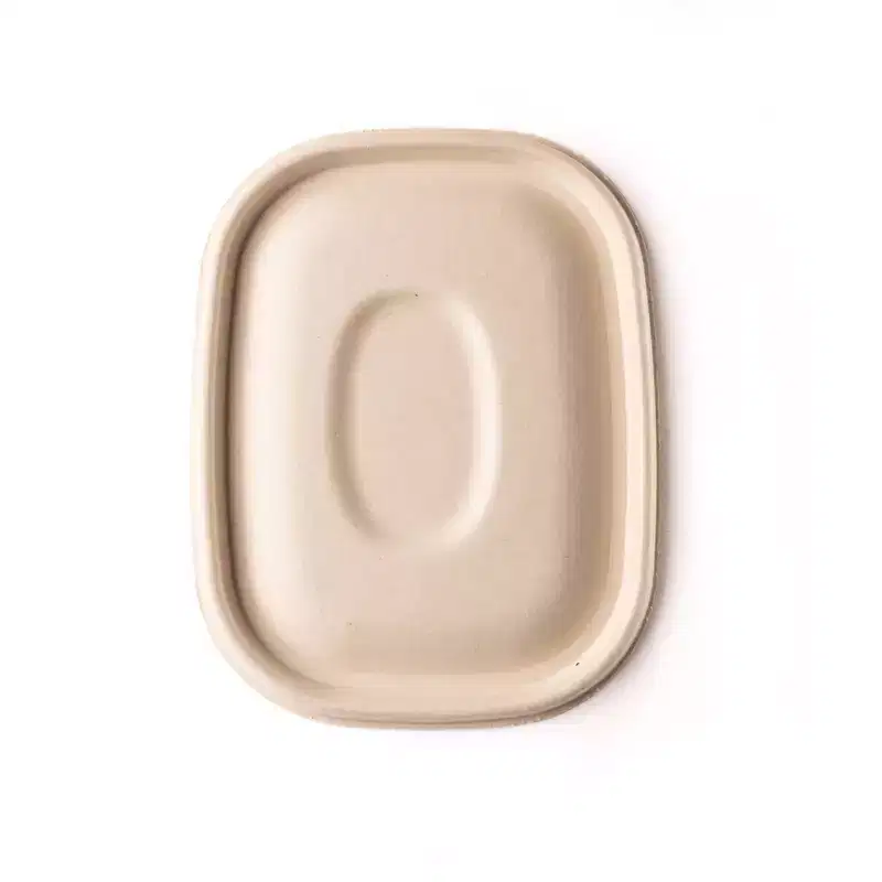 Matter Compostable Food Storage Container - 5ct