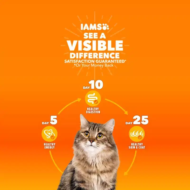 IAMS Proactive Health with Salmon Adult Premium Dry Cat Food