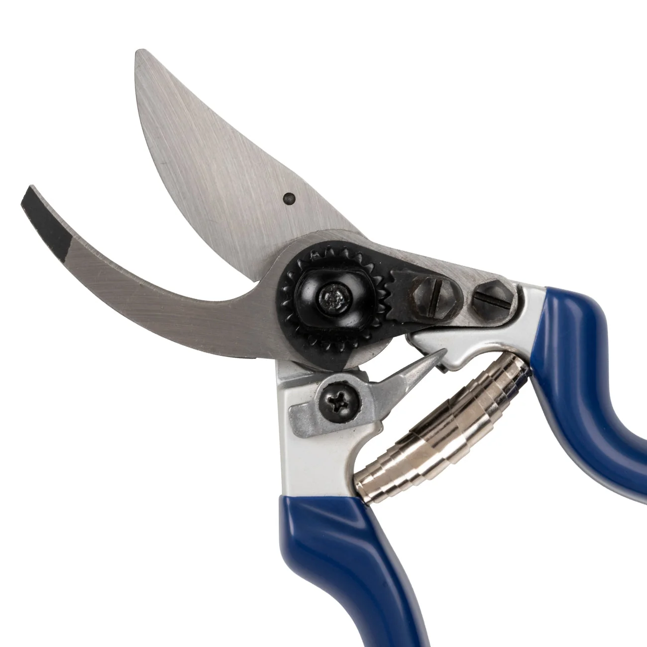 Professional Bypass Secateur Blue Handle High-Carbon Steel Garden Pruner