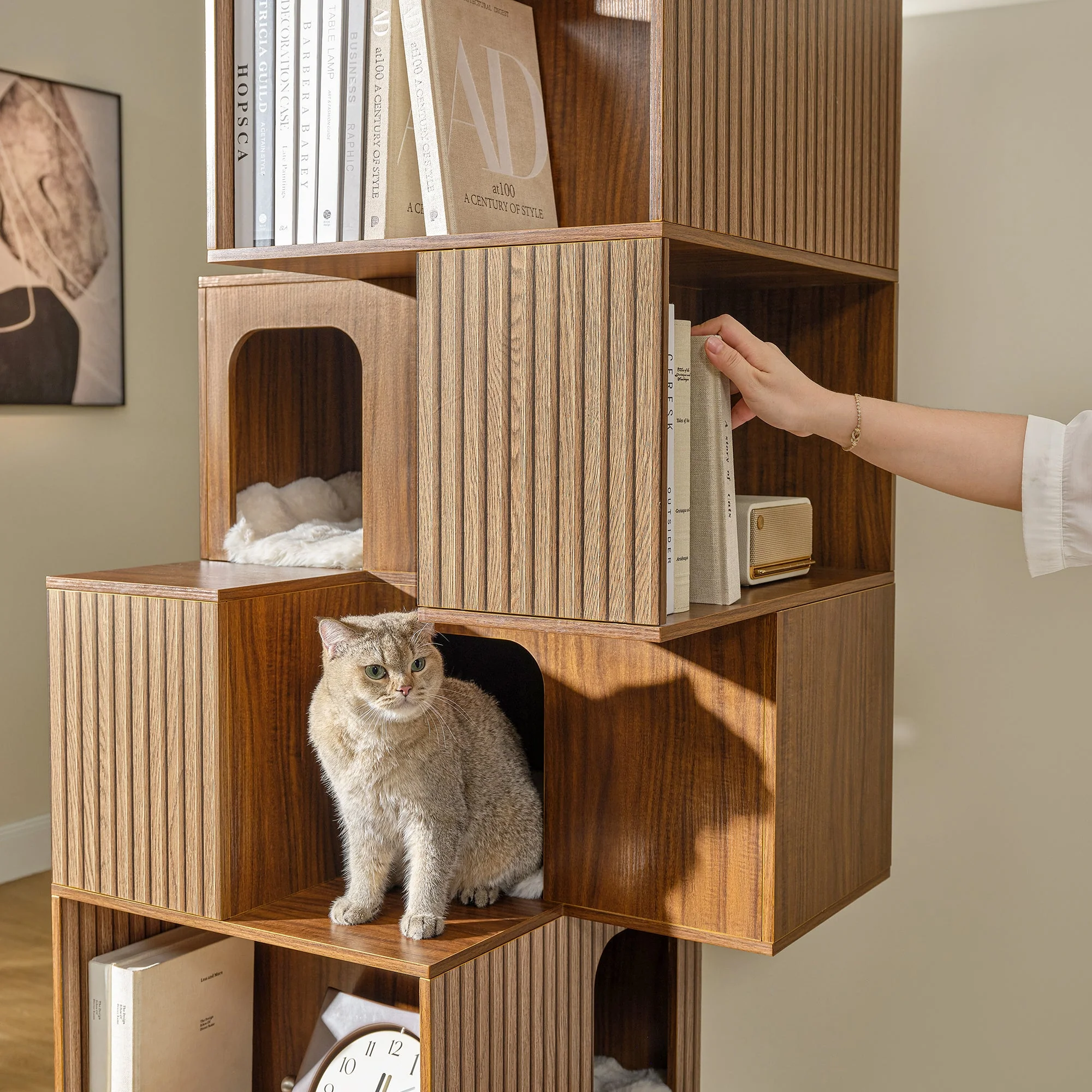72'' Owner and Pet Shared Bookshelf Cat Tree