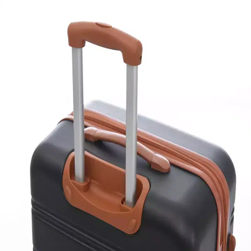 NAYSAYE Luggage 2 Piece Set with Bag Spinner Suitcase TSA Lock Lightweight for Travel, Black and Brown, 19*13*28