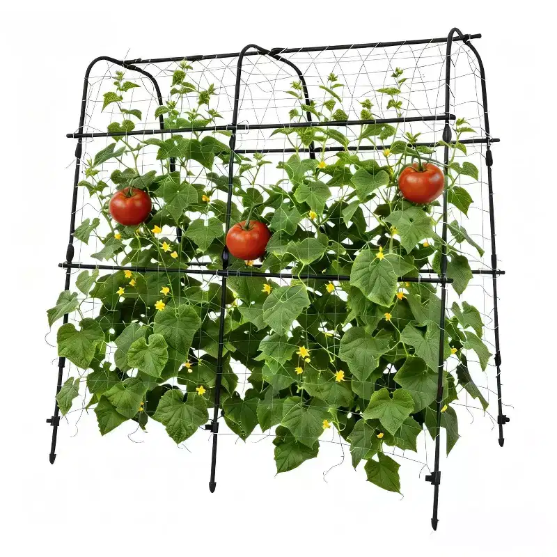 Garden Arch Trellis for Raised Beds, 5.3x5.3 FT Rust-Resistant Plant Support, Black Outdoor Trellis for Cucumbers Melons Grapes & Roses