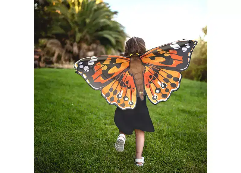 Insect Lore Dress-Up Painted Lady Butterfly Wings, Pack of 3