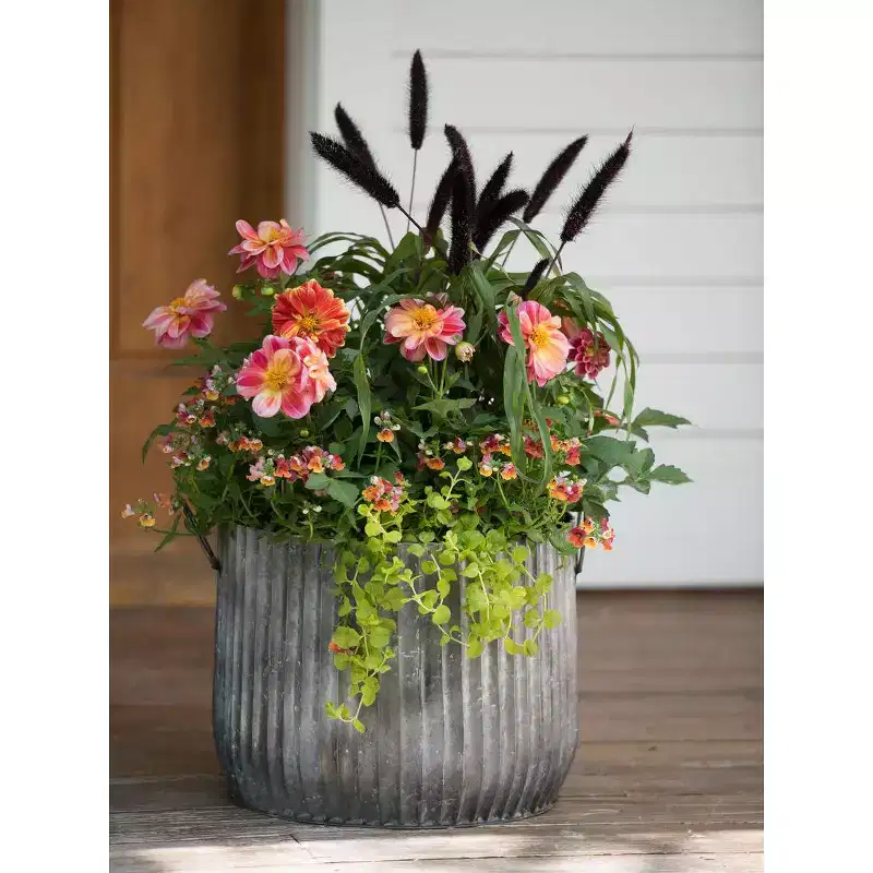 Gardener's Supply Company Galvanized Steel Ribbed Barrel Planter | 14 Diameter Indoor Outdoor Rust-Proof & Watertight Container for Plants & Flowers