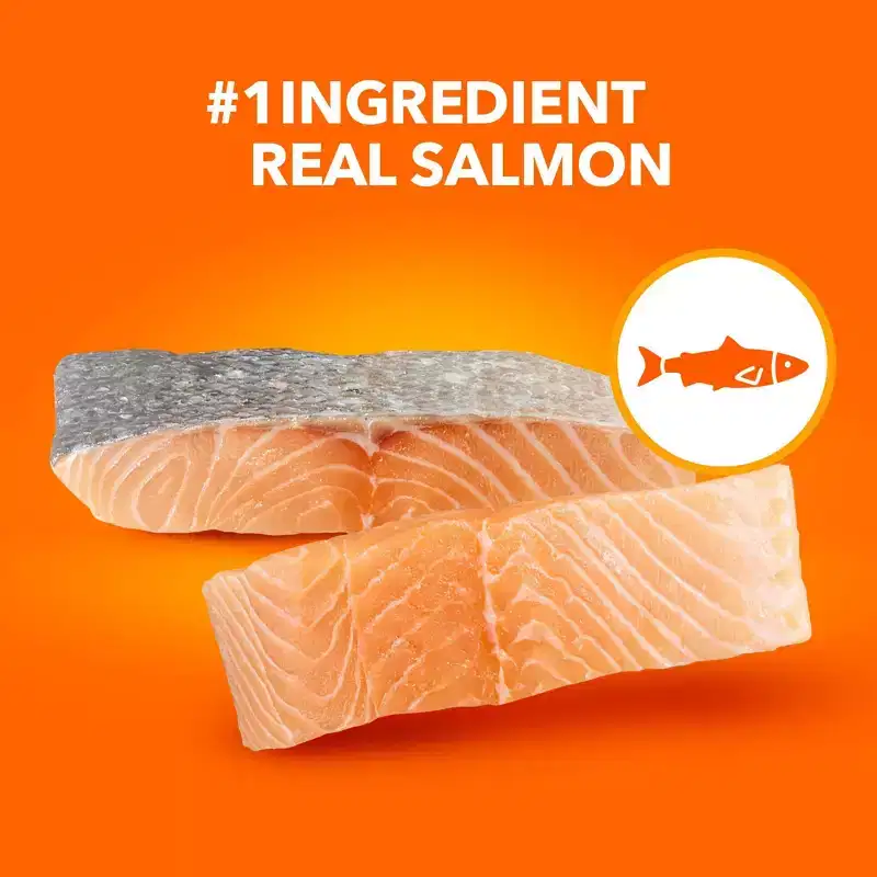 IAMS Proactive Health with Salmon Adult Premium Dry Cat Food
