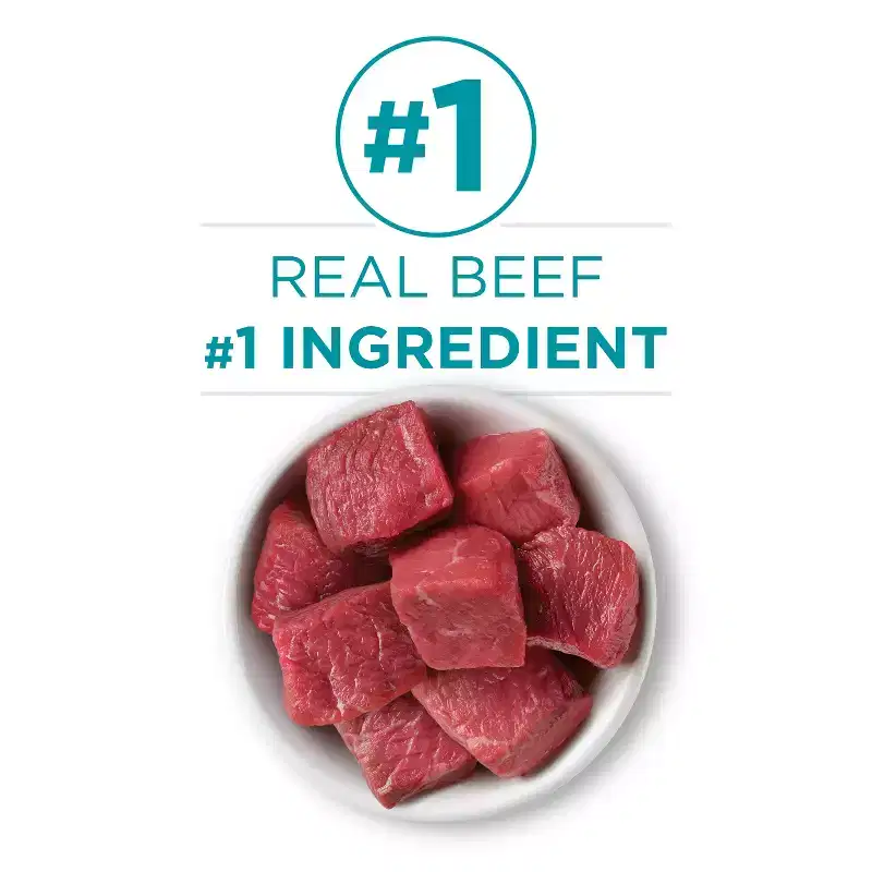 Purina ONE Grain-Free Beef Wet Cat Food - 3oz