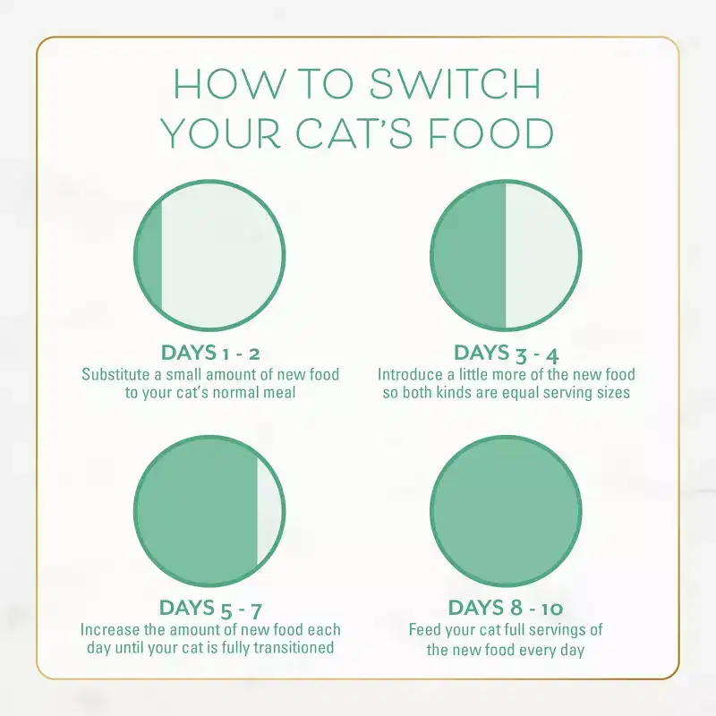Fancy Feast Gourmet Ocean Fish and Salmon Dry Cat Food - 12lbs