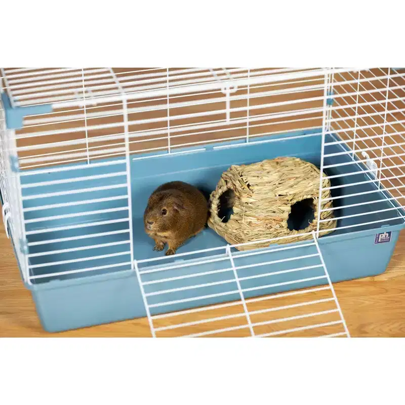 Prevue Pet Products Medium Grass Hut for Small Animals 1097