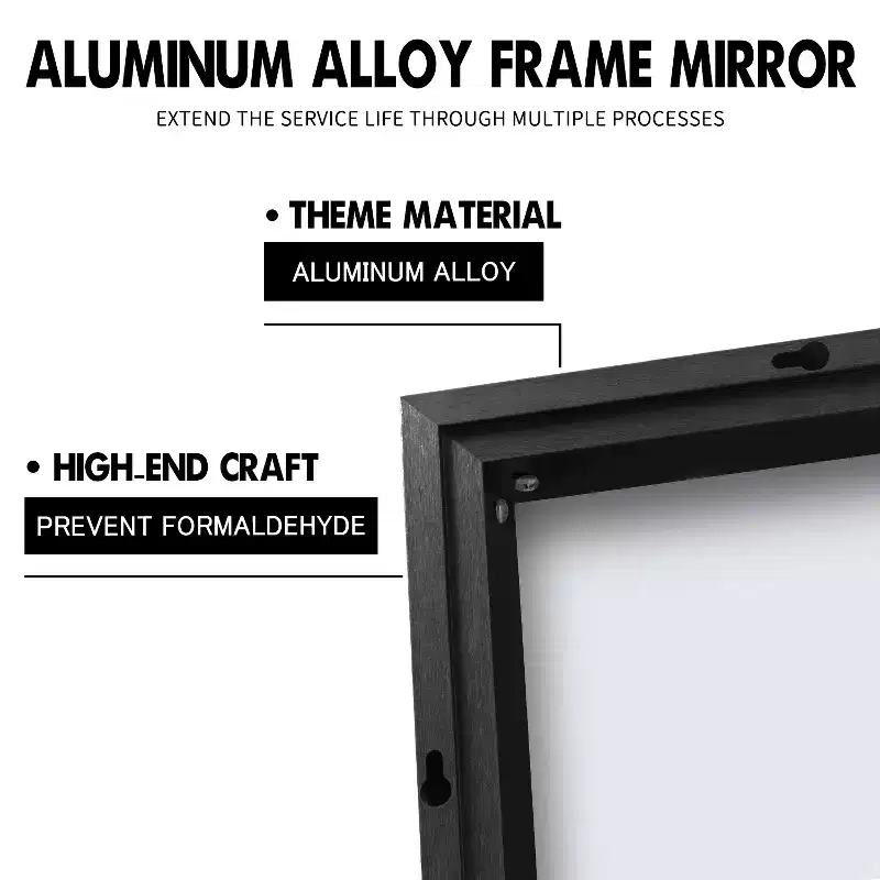 Dovelina Metal Framed Rectangle Mirror Decorative Wall Mirror - 38x24, Black