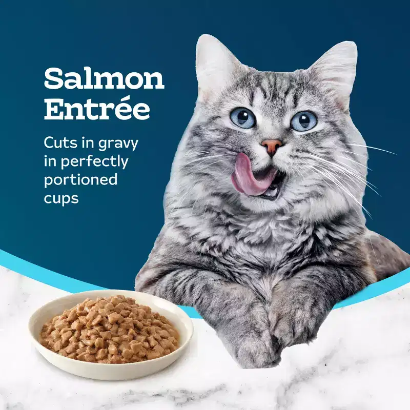 Blue Buffalo Tastefuls Savory Singles Salmon Entree Cuts in Gravy Adult Wet Cat Food - 2.6oz