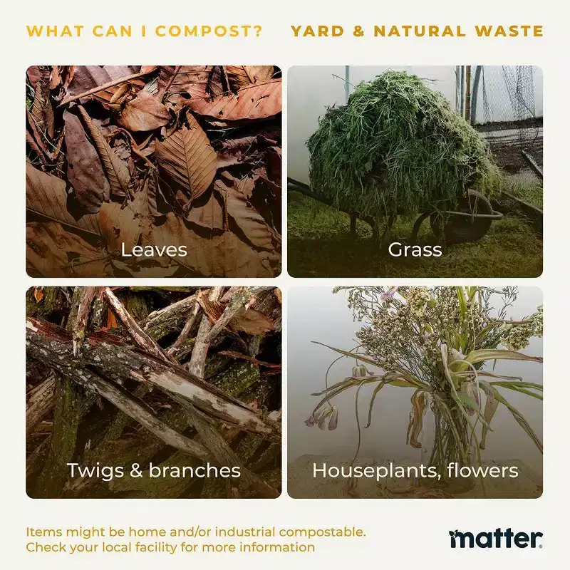 Matter Compostable Food Storage Container - 5ct
