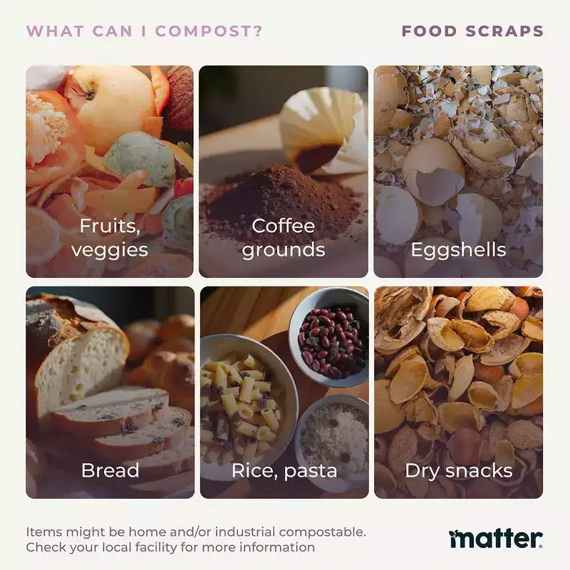 Matter Compostable Food Storage Container - 5ct